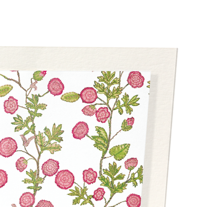 TUDOR EMBROIDERY OF ROSES ON WHITE (16TH C.): Pattern Art Print