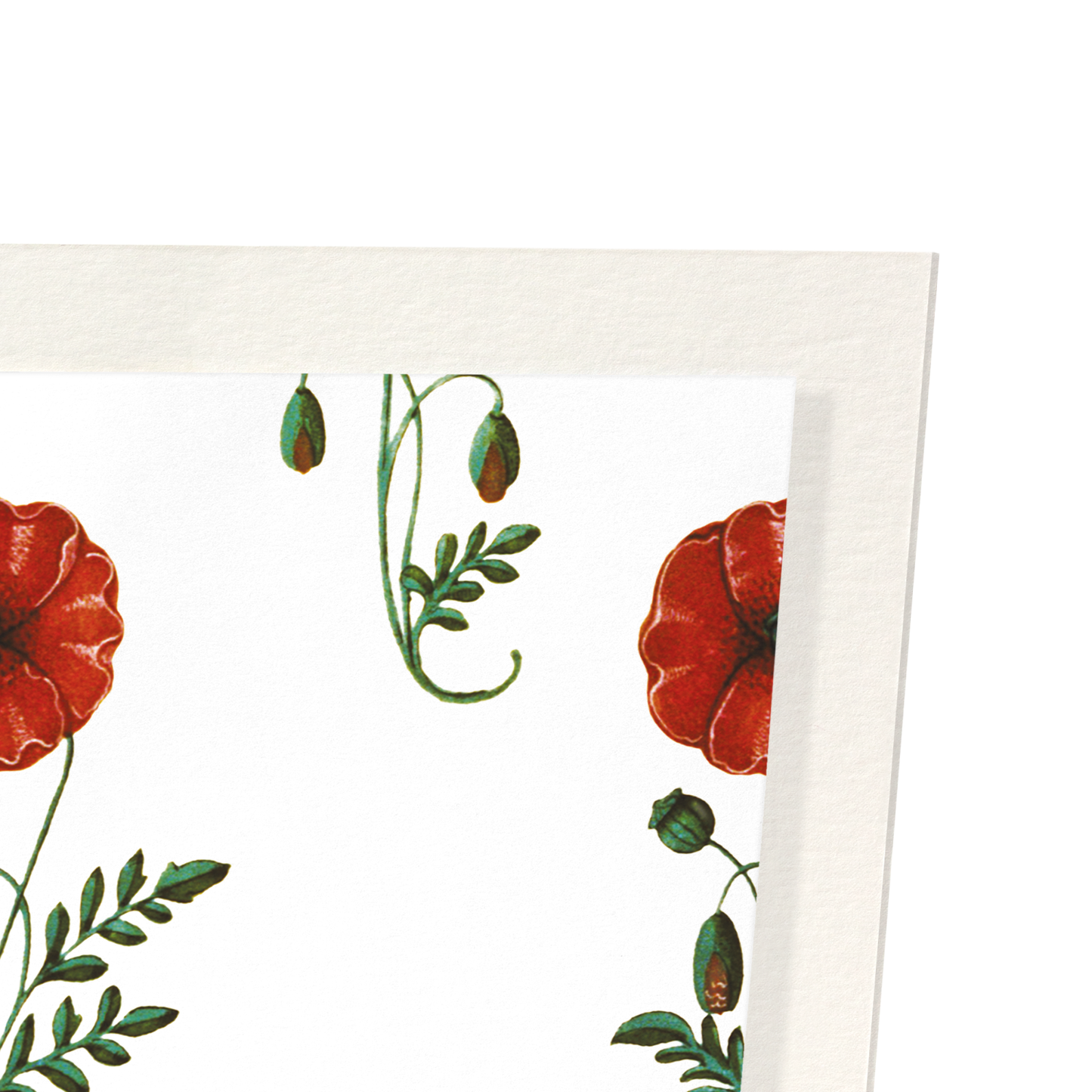RED POPPIES (C.1520): Pattern Art Print