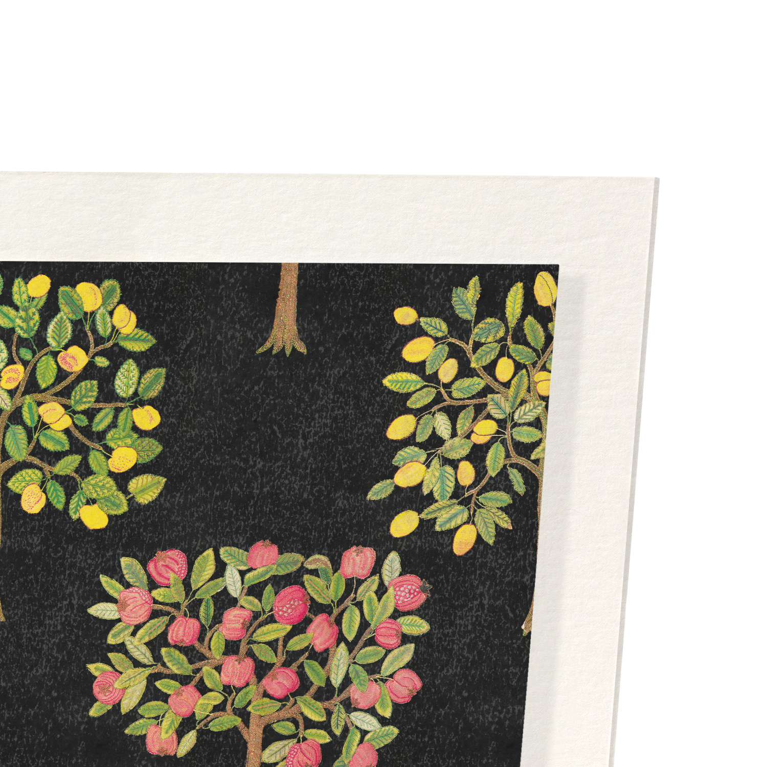 POMEGRANATE AND LEMON TREES ON BLACK (16THC): Pattern Art Print