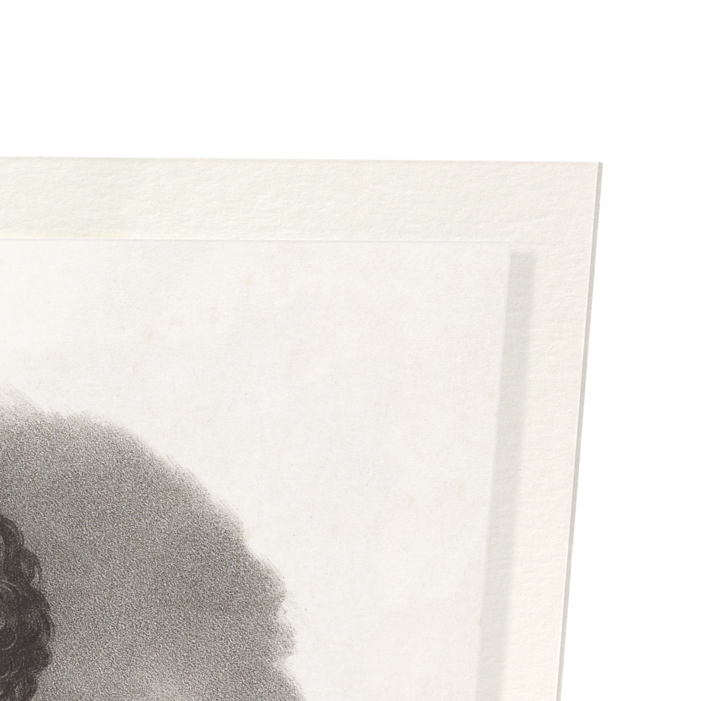 PORTRAIT OF CHARLES DICKENS (1839): Painting Art Print