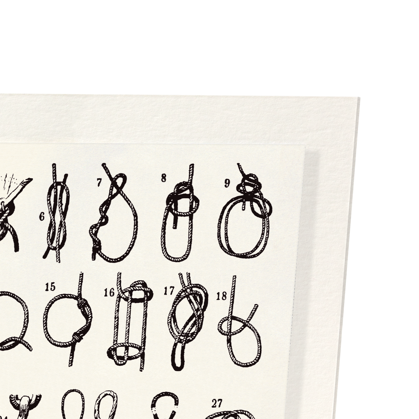 TYPES OF KNOTS (1909): Painting Art Print