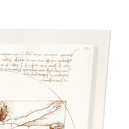 VITRUVIAN MAN (C.1490): Painting Art Print
