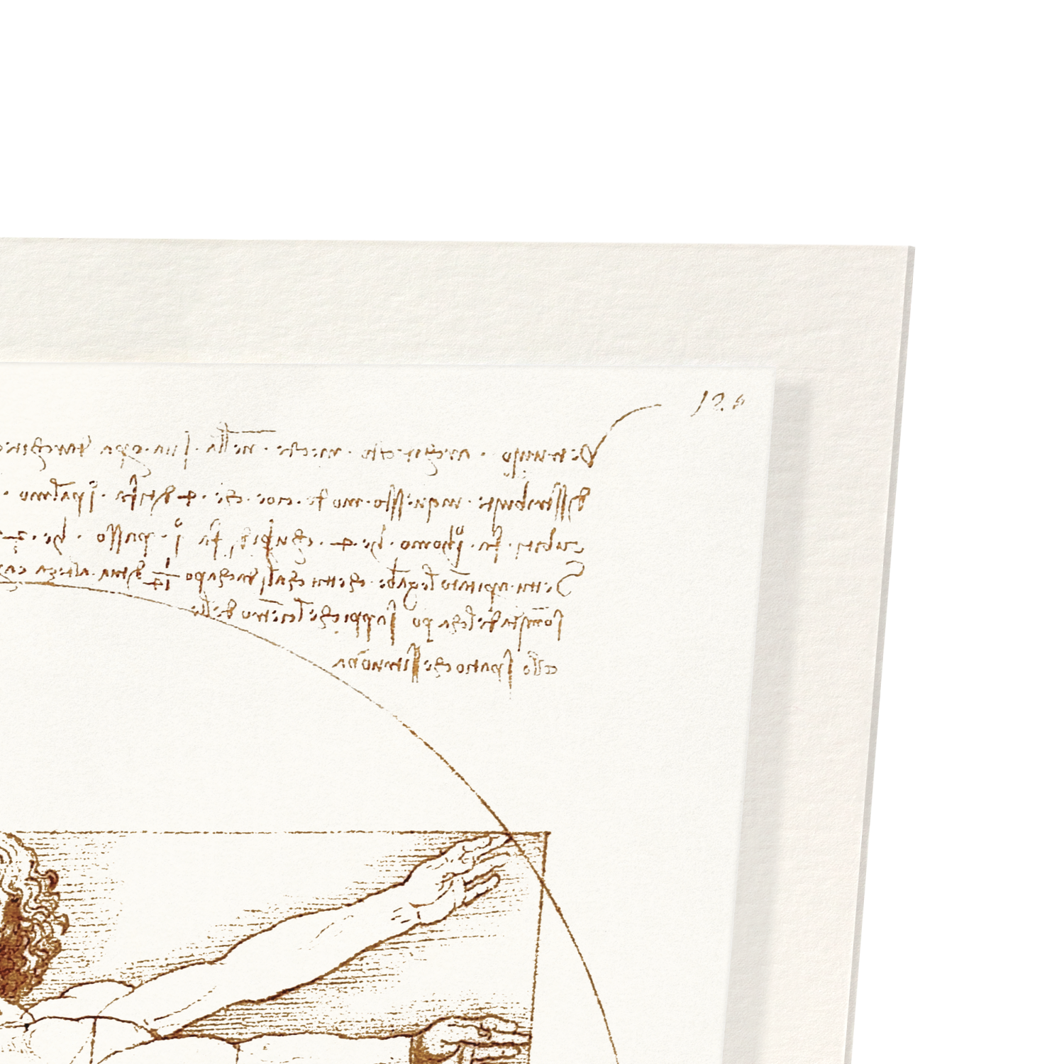 VITRUVIAN MAN (C.1490): Painting Art Print