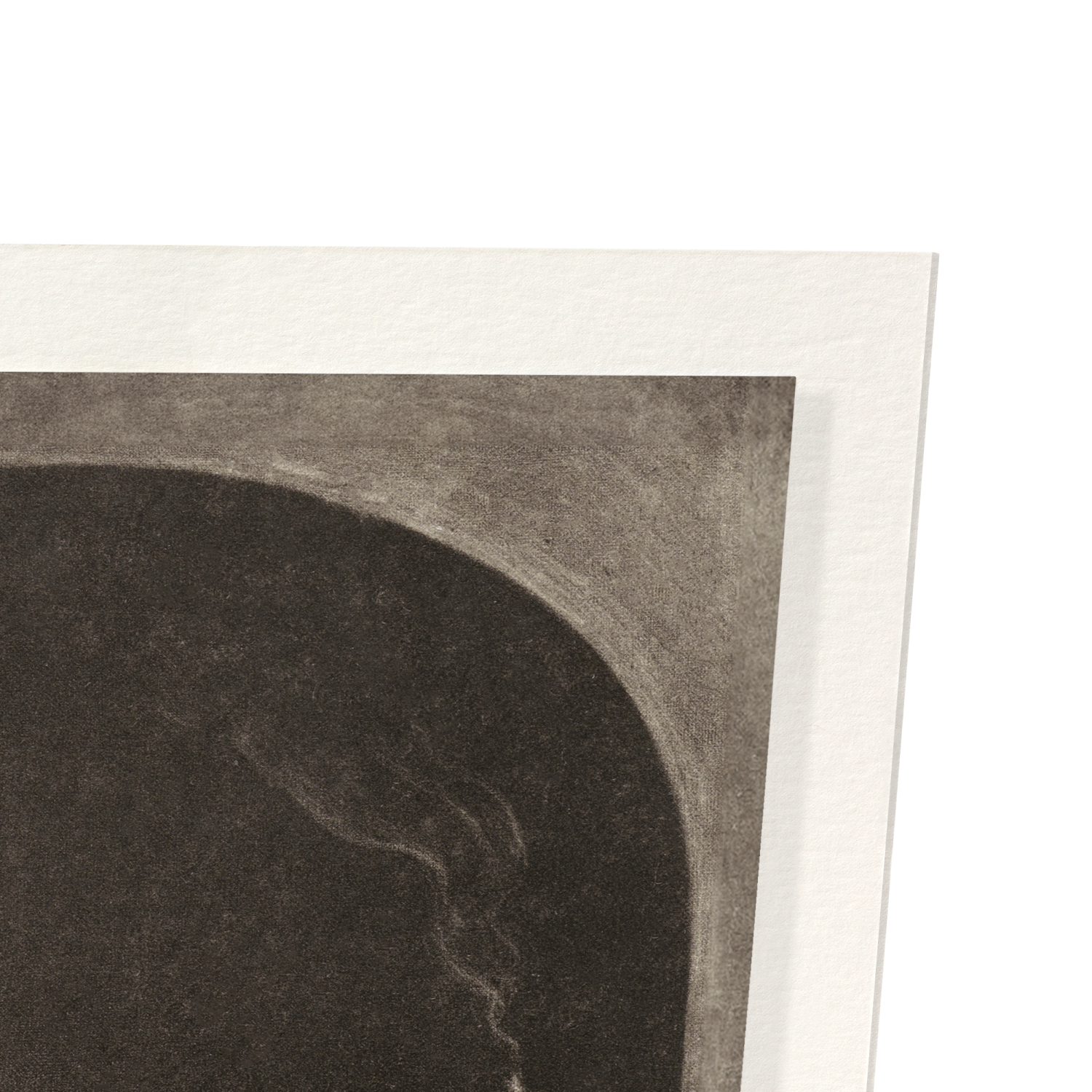 VANITAS STILL LIFE IN A NICHE (17THC): Painting Art Print