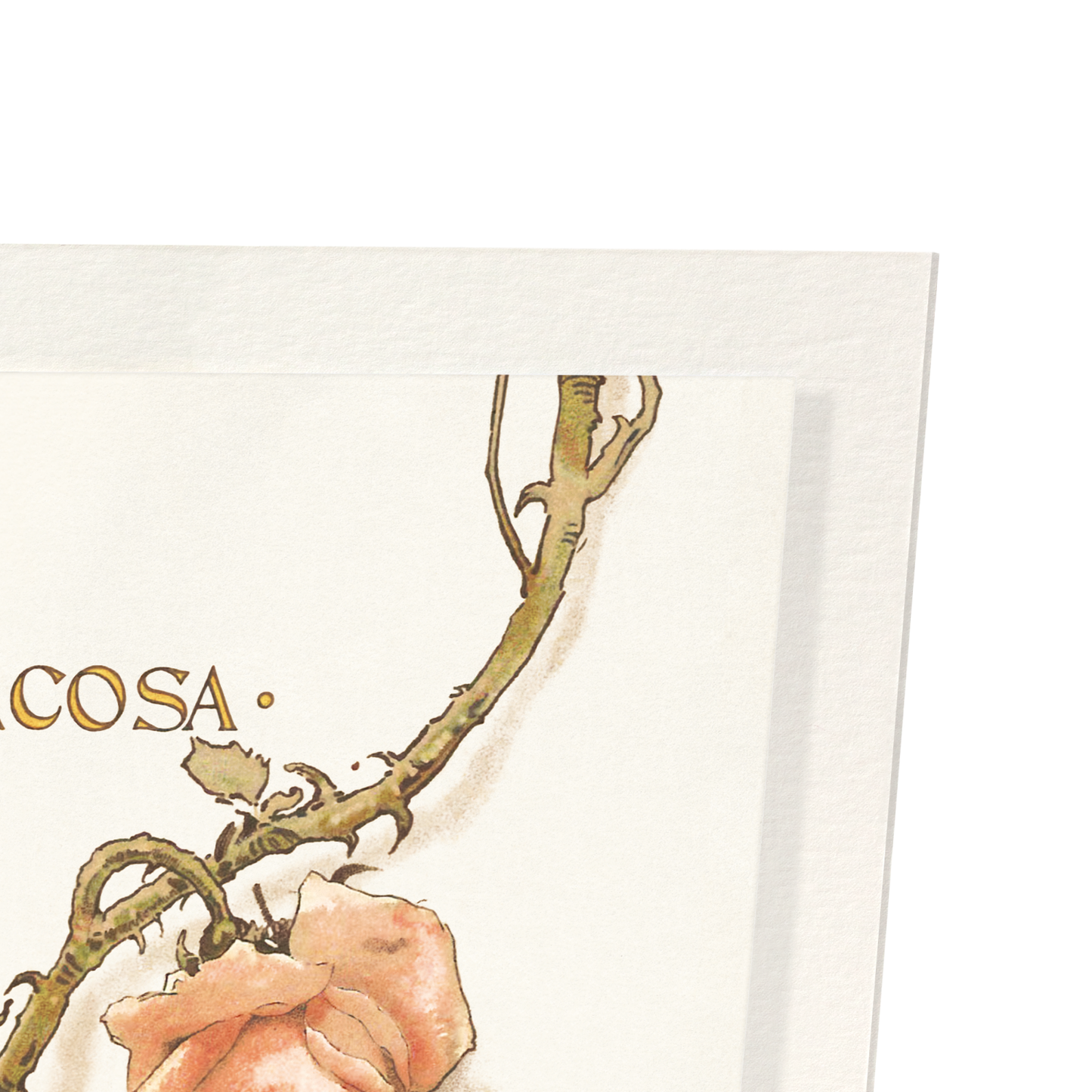 TOSCA OPERA PROGRAMME COVER (1899): Painting Art Print