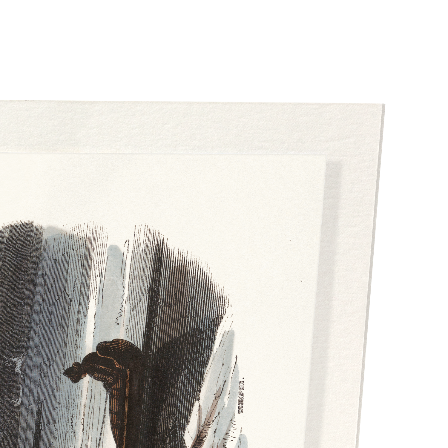 AURORA BOREALIS (1911): Painting Art Print