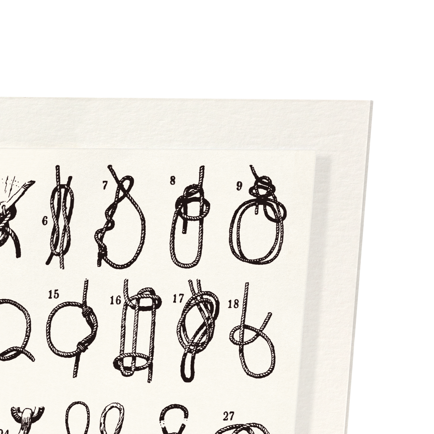 TYPES DE NŒUDS (1909): Painting Art Print