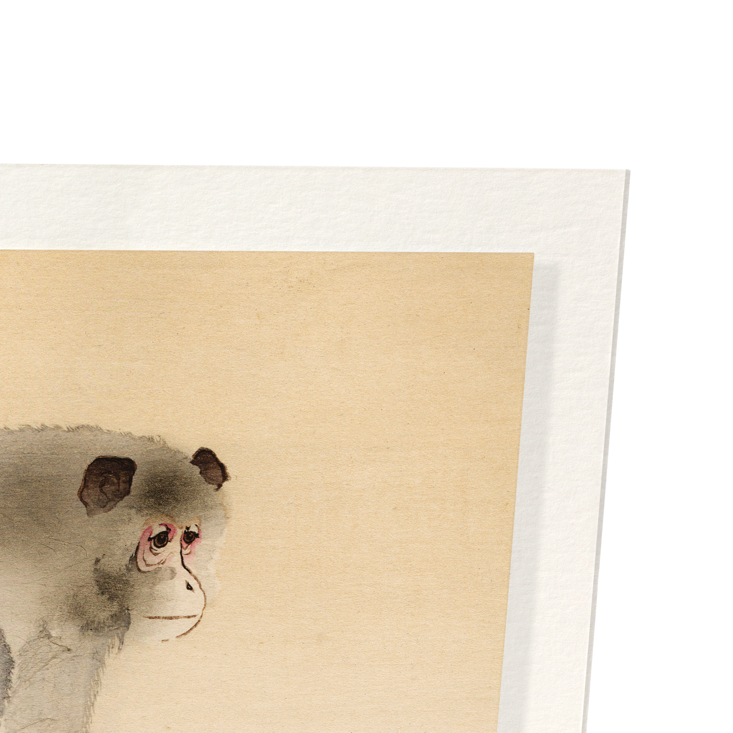 MONKEY IN A TREE: Japanese Art Print