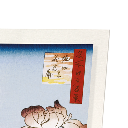 HORIKIRI IRIS GARDEN (1857): Japanese Art Print
