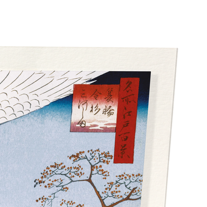 CRANES AT MIKAWA ISLAND (1857): Japanese Art Print