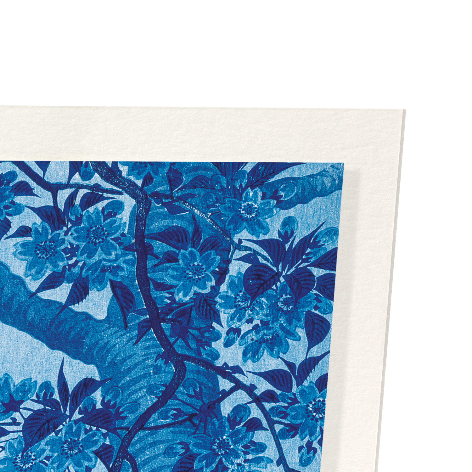 CHERRY BLOSSOMS IN THE MOON (C.1910): Japanese Art Print