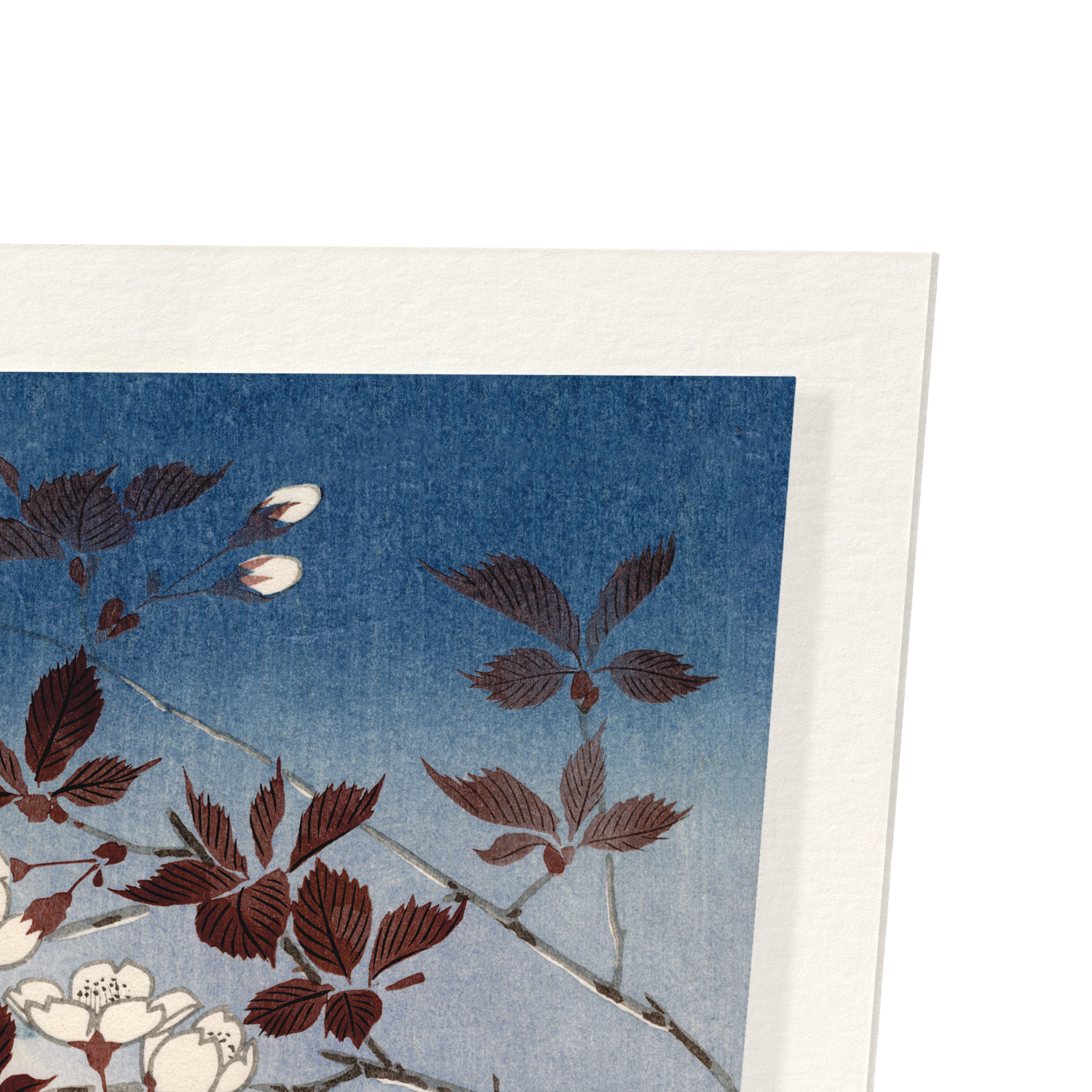 BLOSSOMS AND MOON: Japanese Art Print