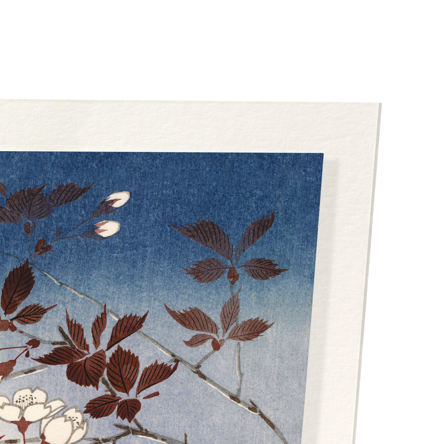 BLOSSOMS AND MOON: Japanese Art Print