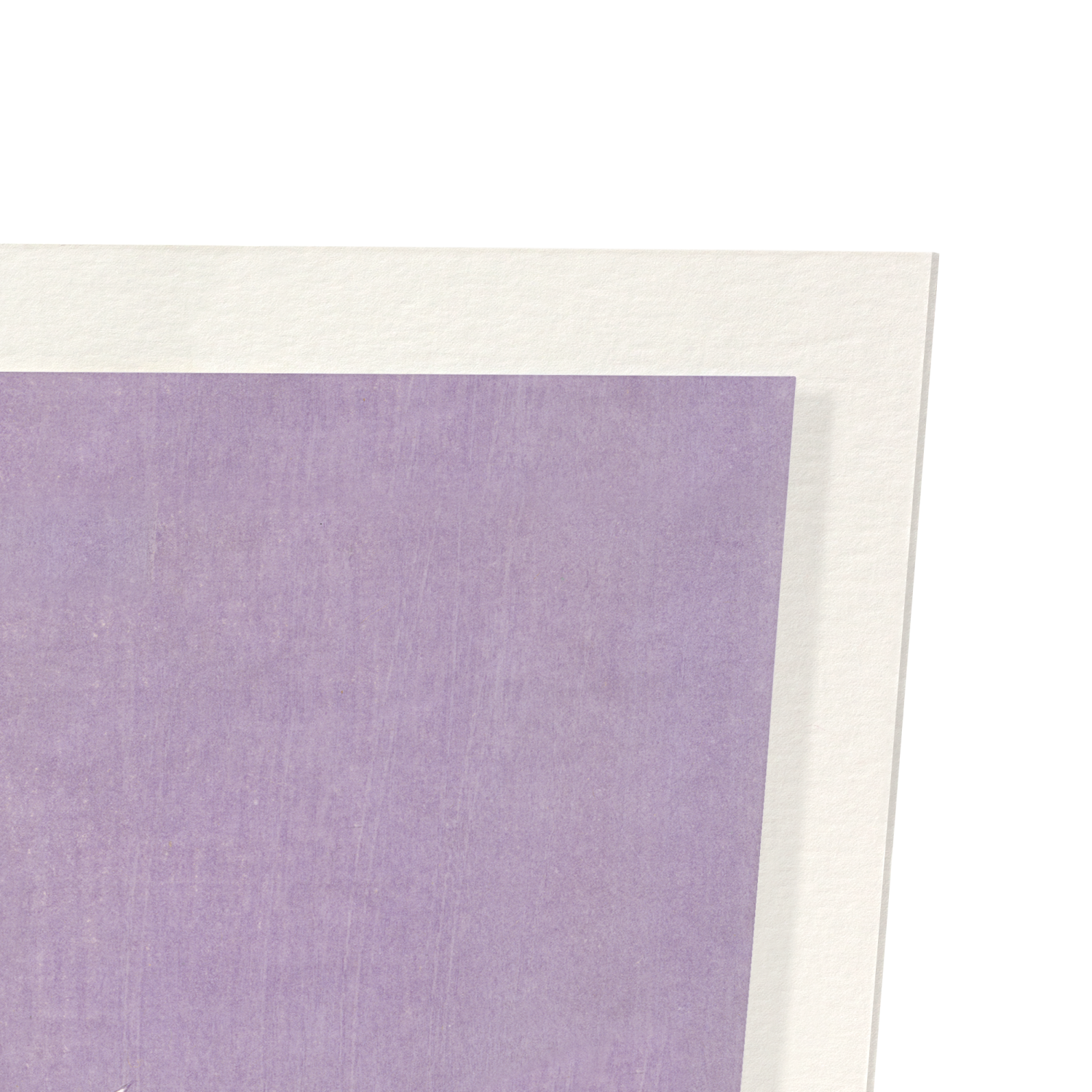 KIMONO HEM OF CRANES AND PINE TREE (1899): Japanese Art Print