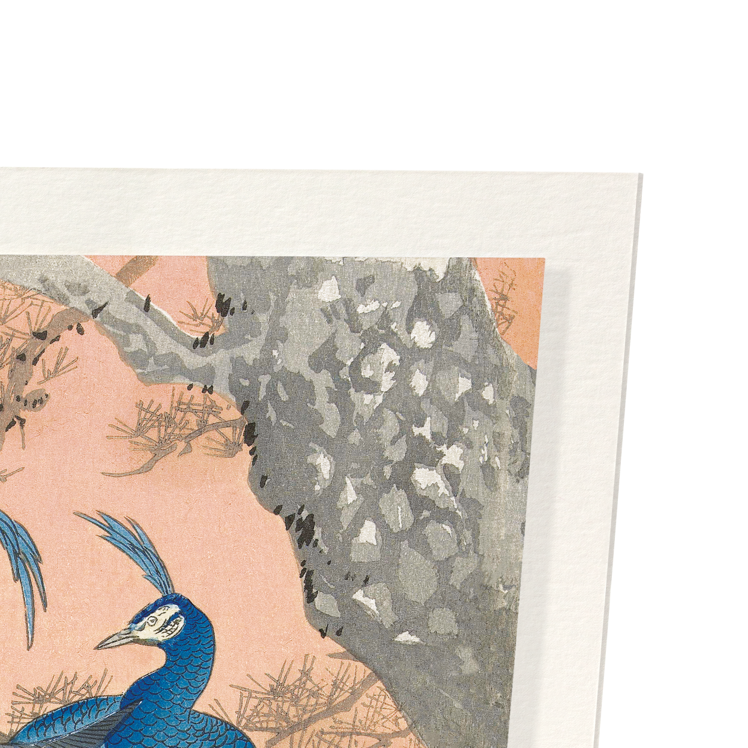 COUPLE OF PEACOCKS (C.1910): Japanese Art Print