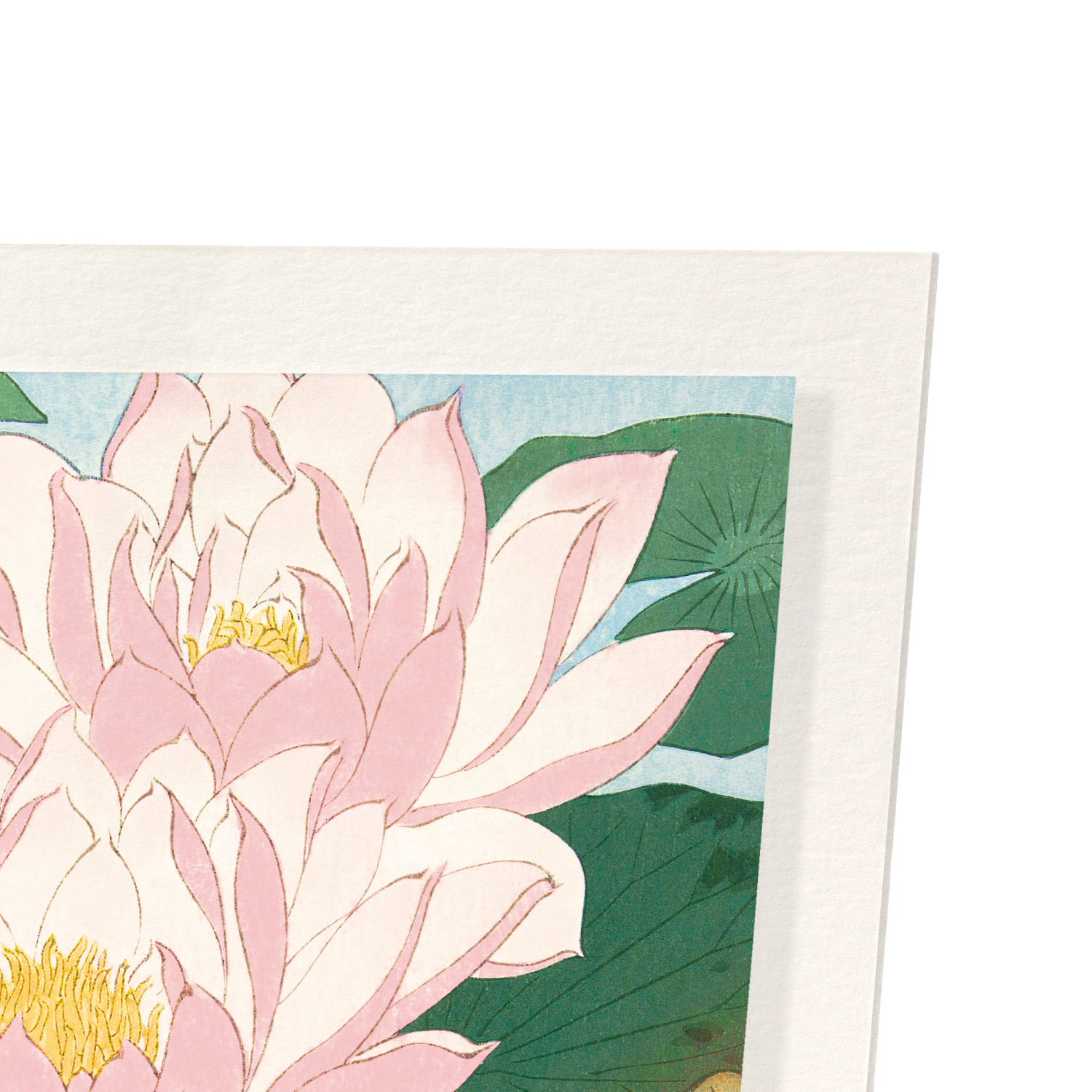 FLOWERING LOTUS: Japanese Art Print