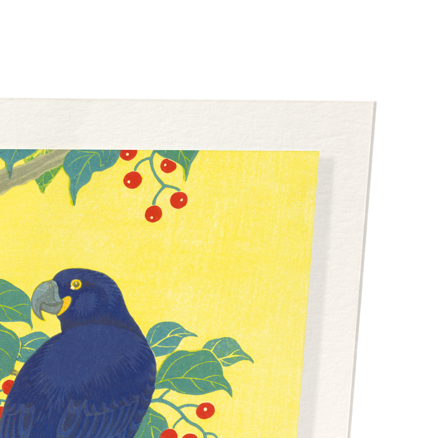 TWO PARROTS AND BERRIES (C.1910): Japanese Art Print