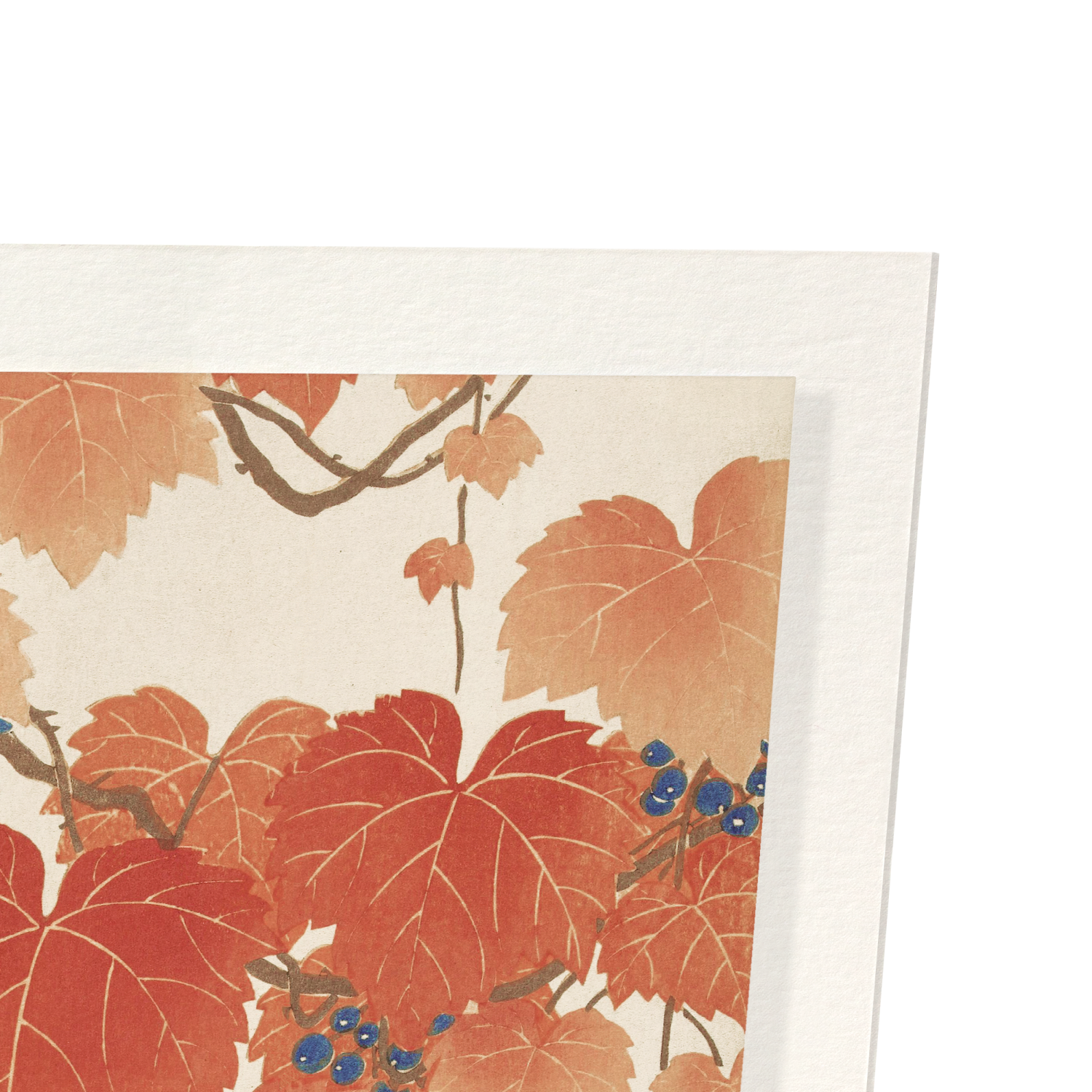 BIRD AND RED IVY: Japanese Art Print