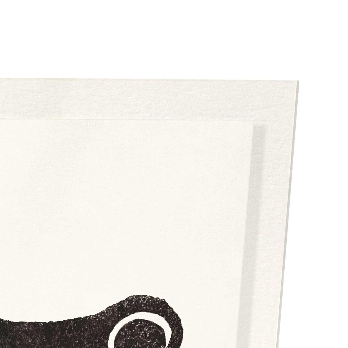 FORT NELSON EZEN FROG: Art Print