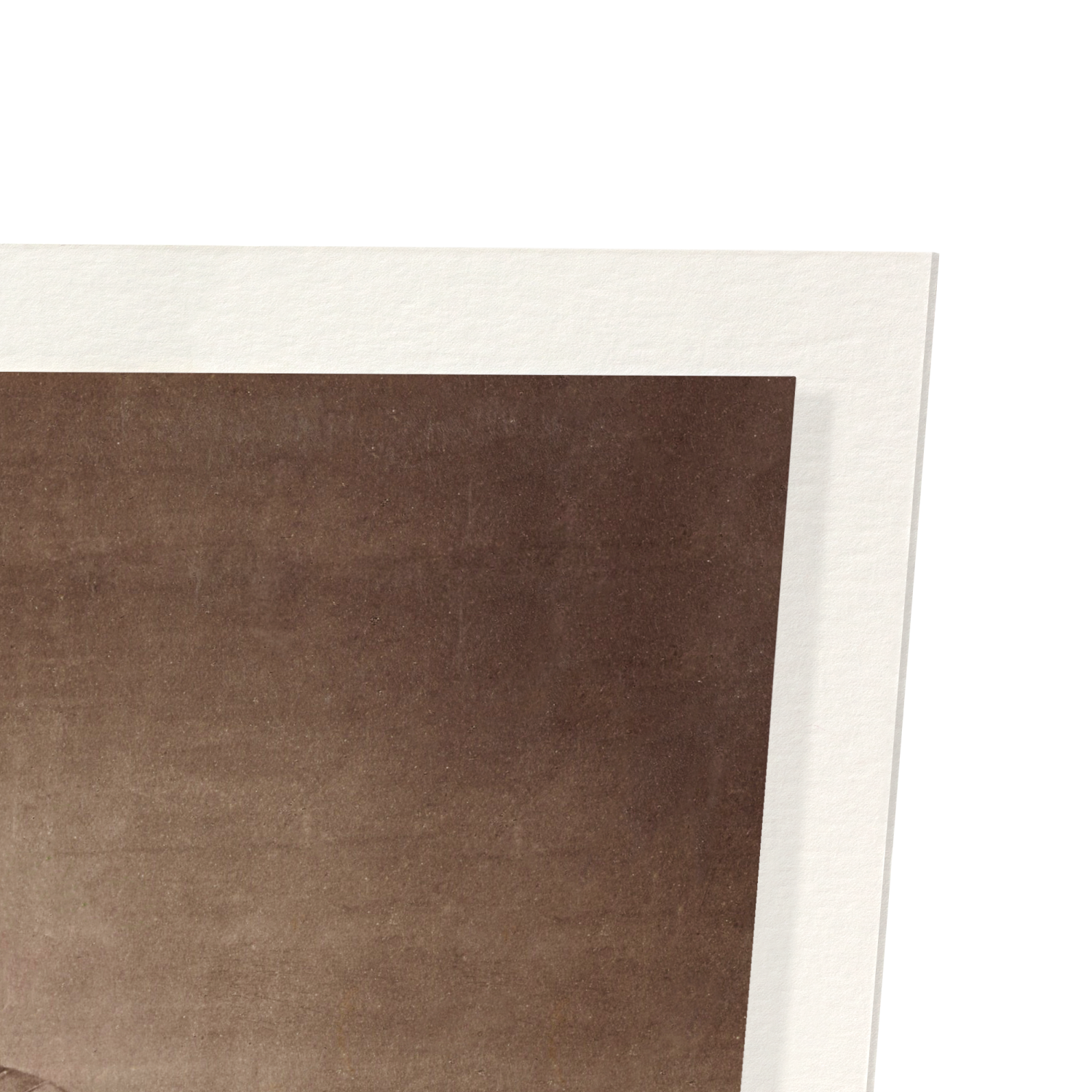 SUMO WRESTLERS IN THE RING (LATE 19TH C.): Photo Art Print