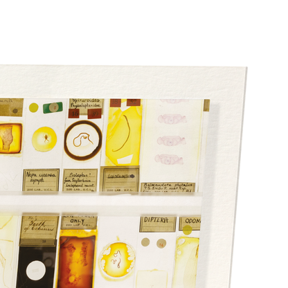THE MICRARIUM AT UCL GRANT MUSEUM OF ZOOLOGY: Photo Art Print