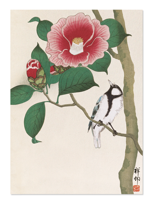 Ezen - Bird and Camellia (c.1910) - Postcard - Front