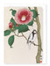 Ezen - Bird and Camellia in Bloom - Greeting Card - Front