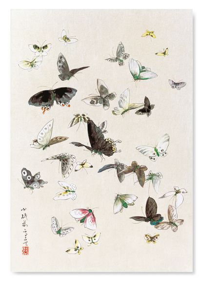 The print