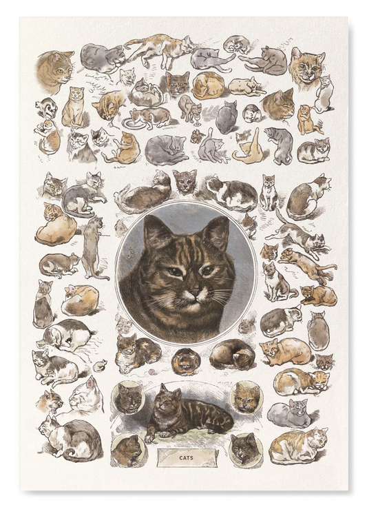 The print