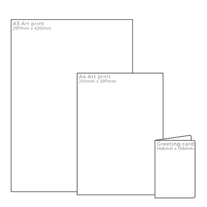 Measurements