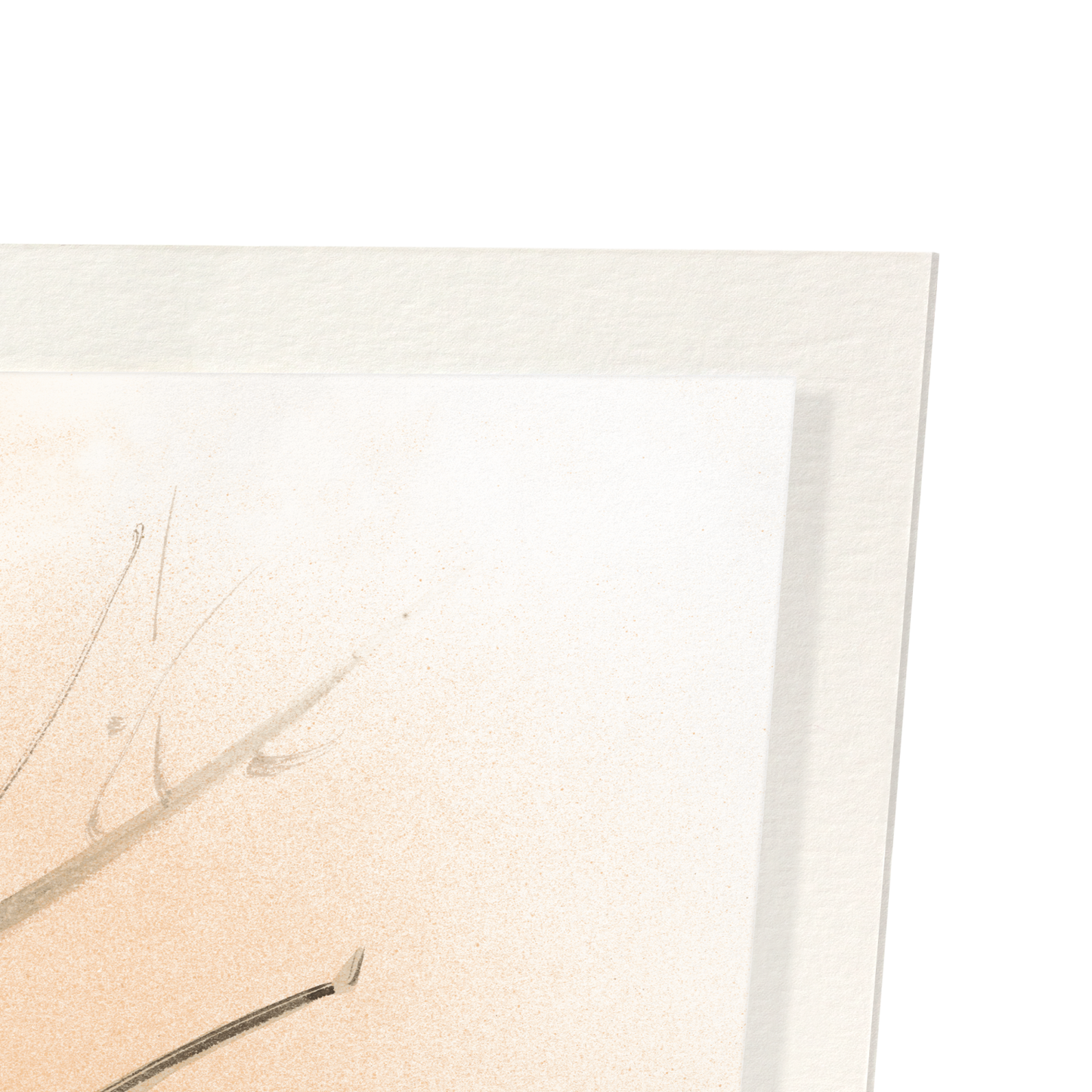 Detail from print