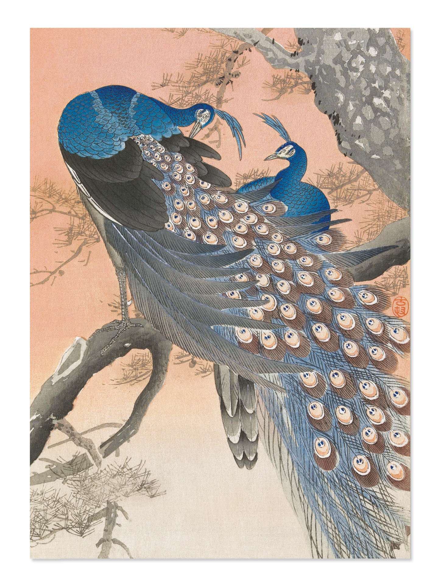Ezen - Couple of peacocks (C.1910) - Postcard - Front