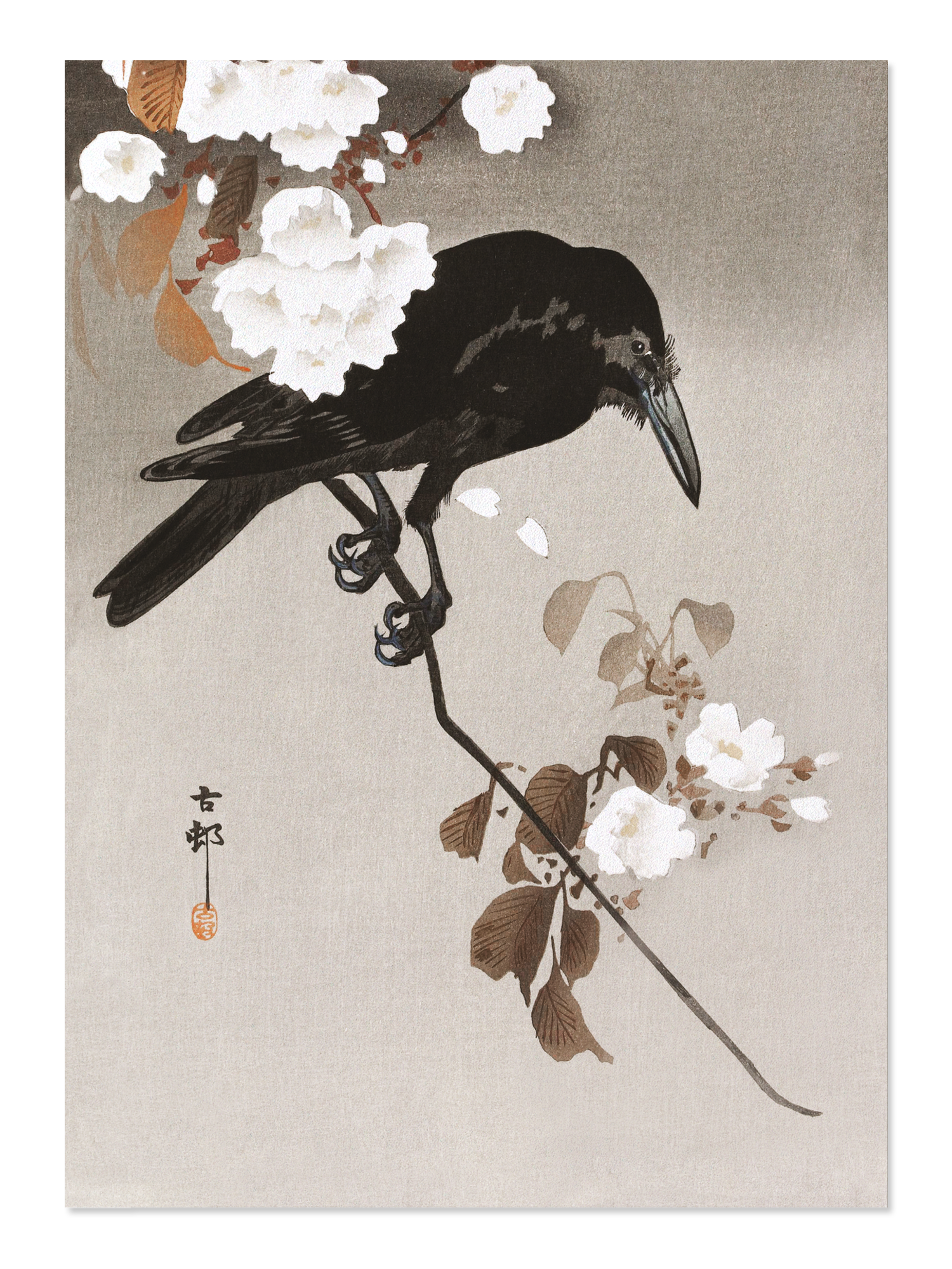 Ezen - Crow with cherry blossom - Postcard - Front