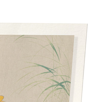 Detail from print