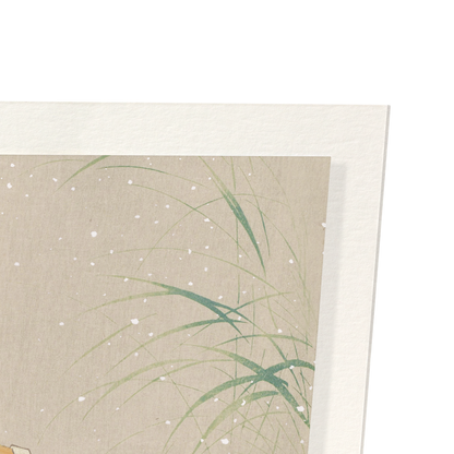 Detail from print
