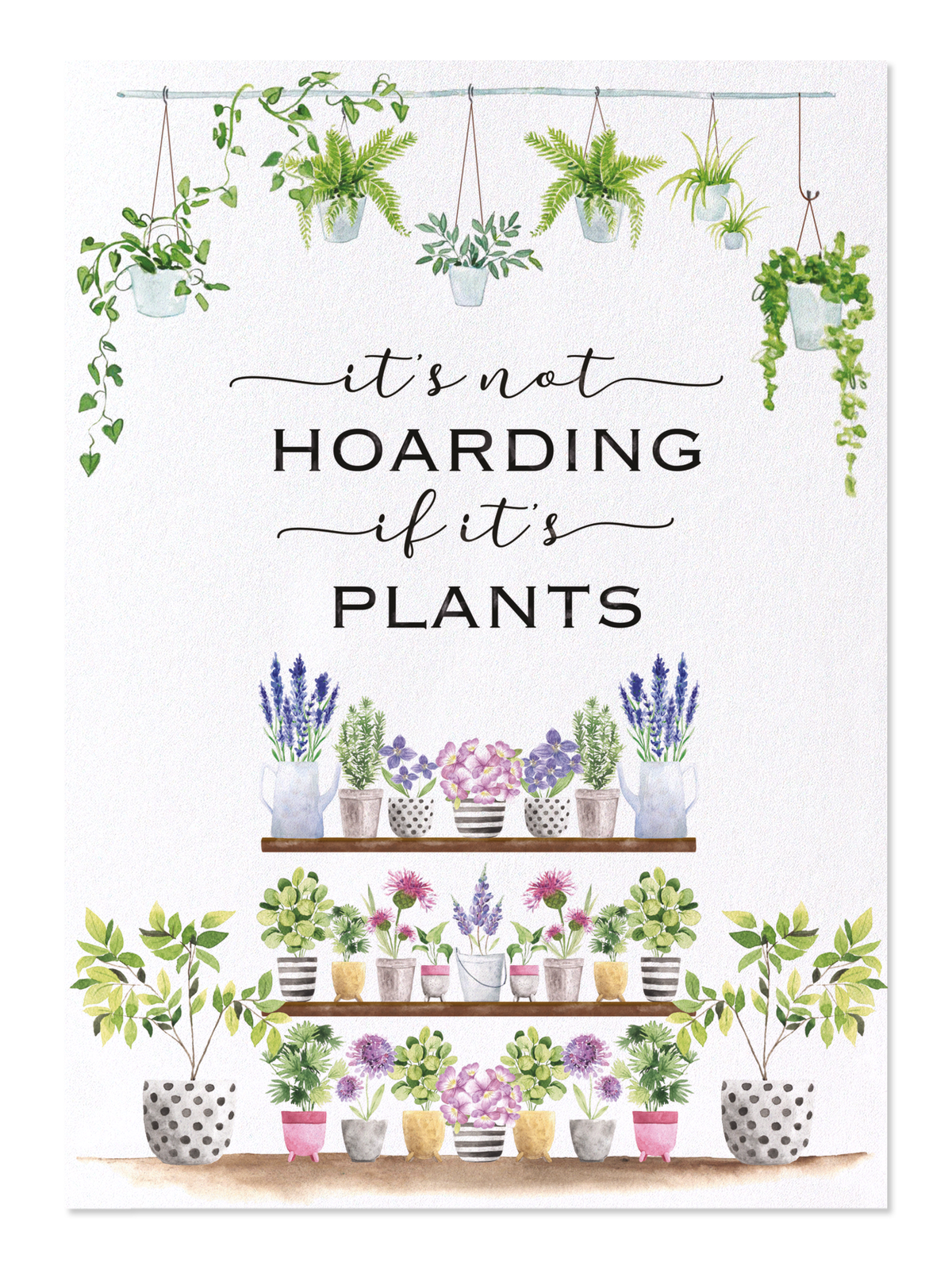 Ezen - Hoarding plants - Postcard - Front