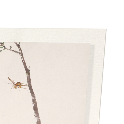 Detail from print