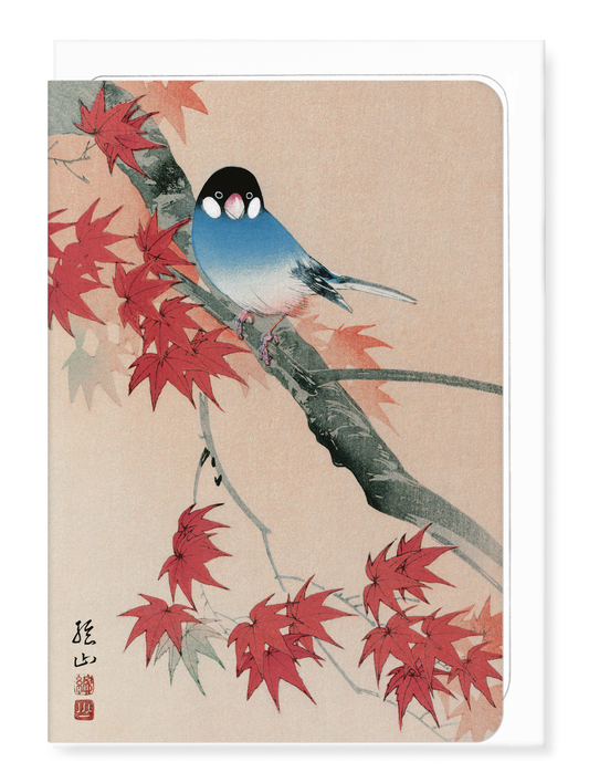 Ezen - Java finch in the Autumn - Greeting Card - Front