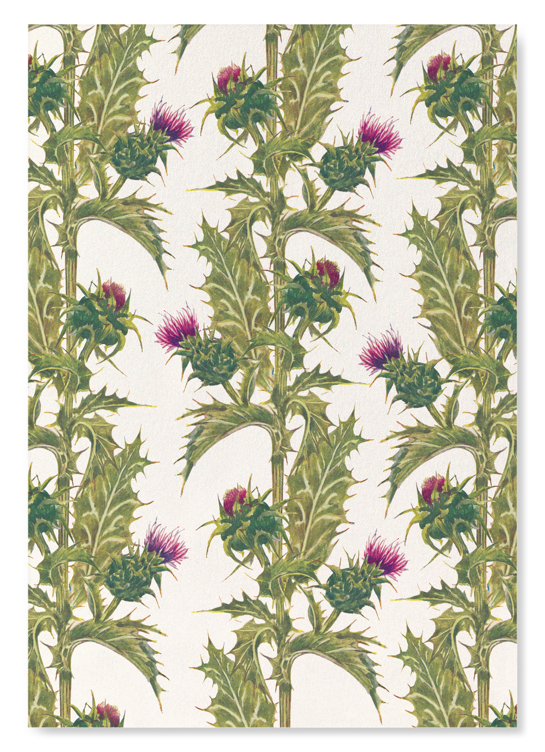 The print