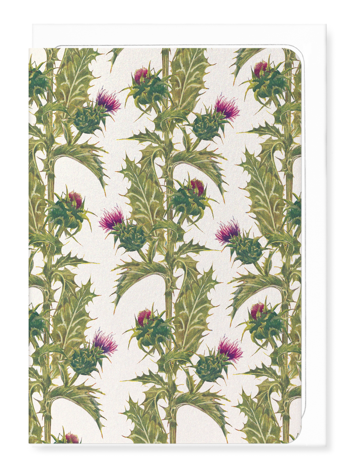 Ezen - Milk Thistle (1910) - Greeting Card - Front