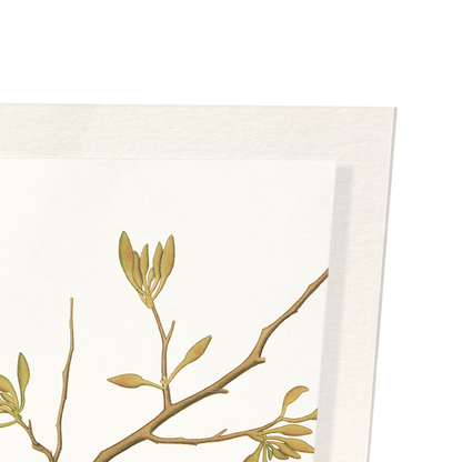 Detail from print