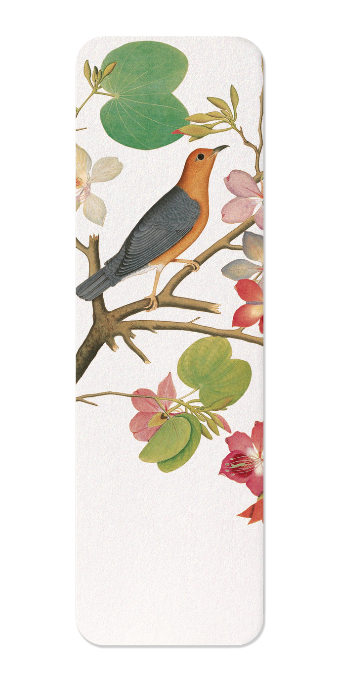 Ezen - Orange bird on orchid Branch (1778) - Bookmark - Front