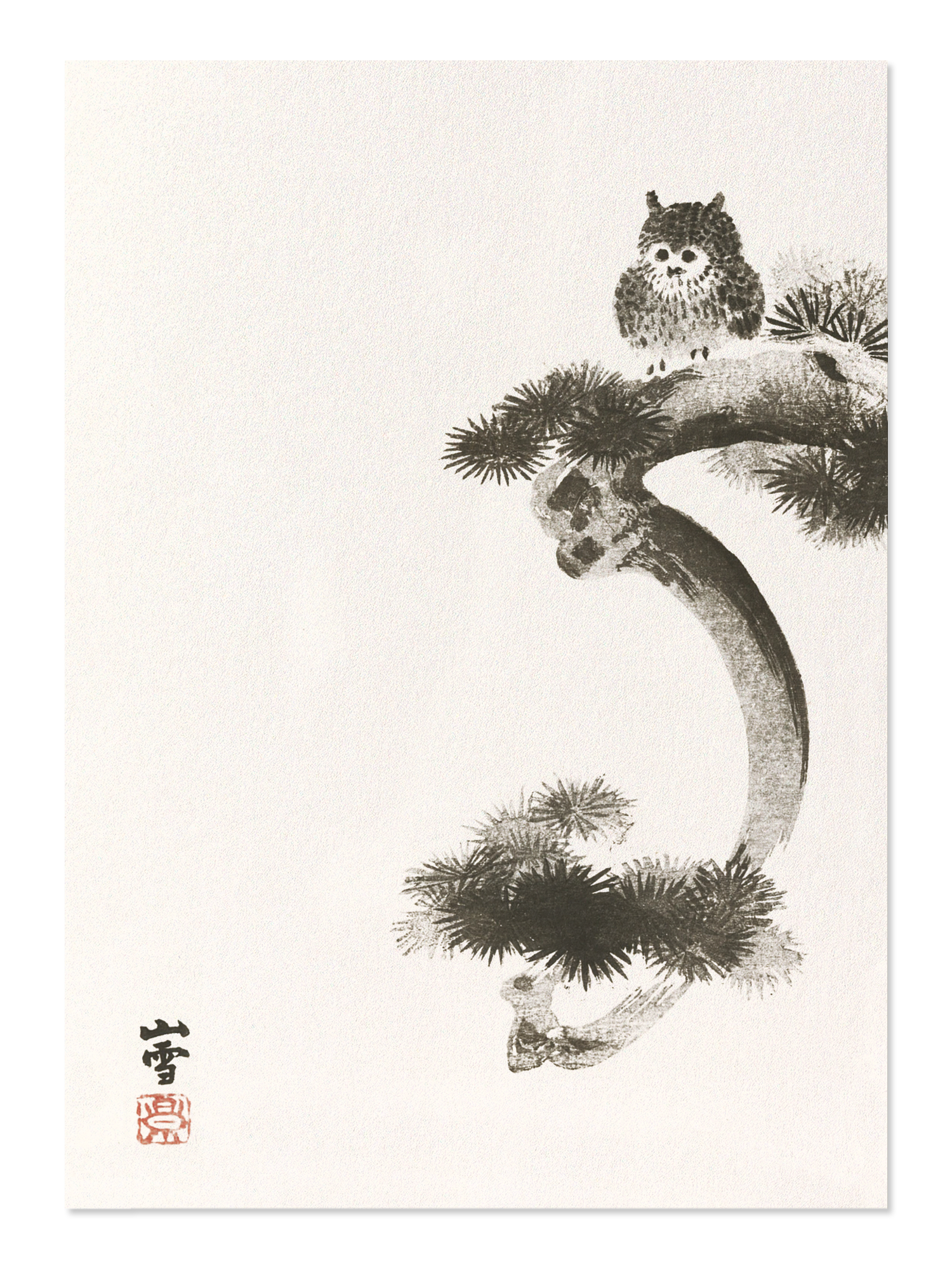 Ezen - Owl on pine tree - Postcard - Front