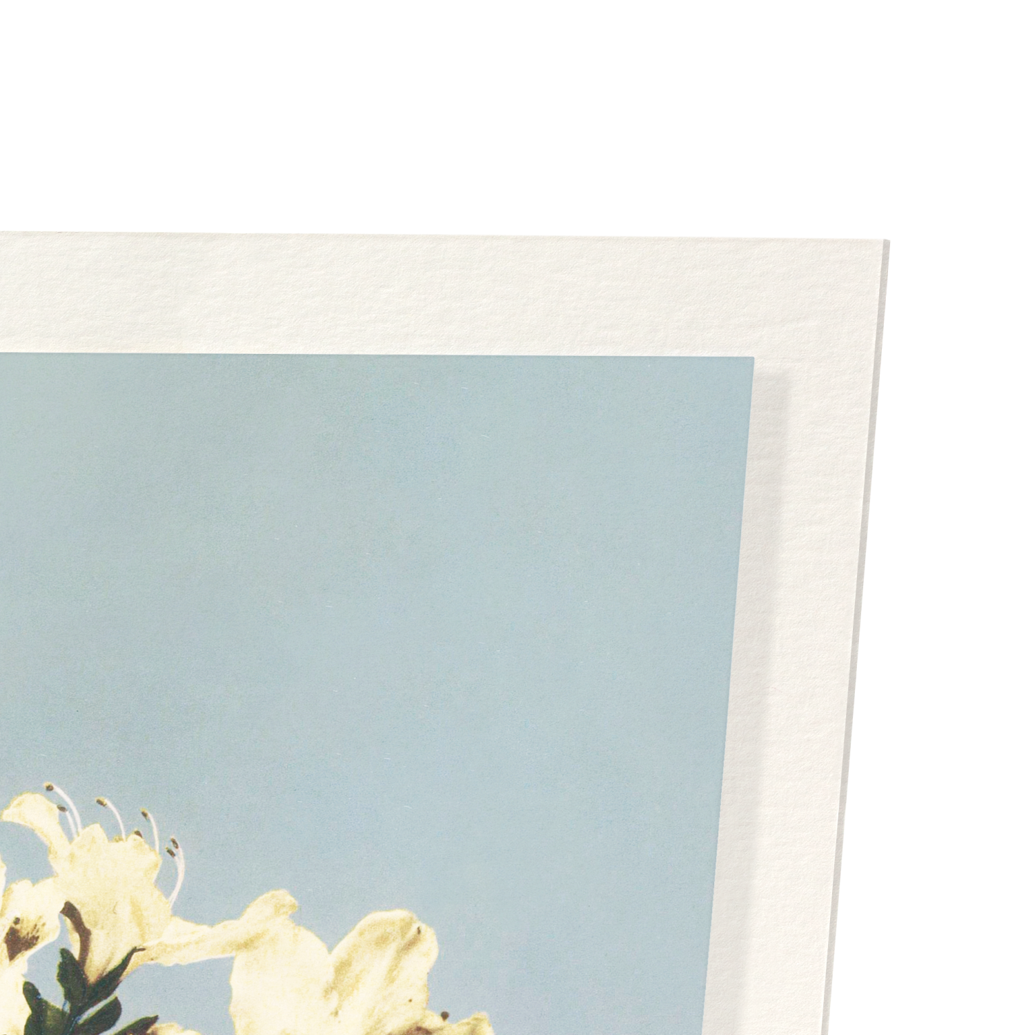 Detail from print