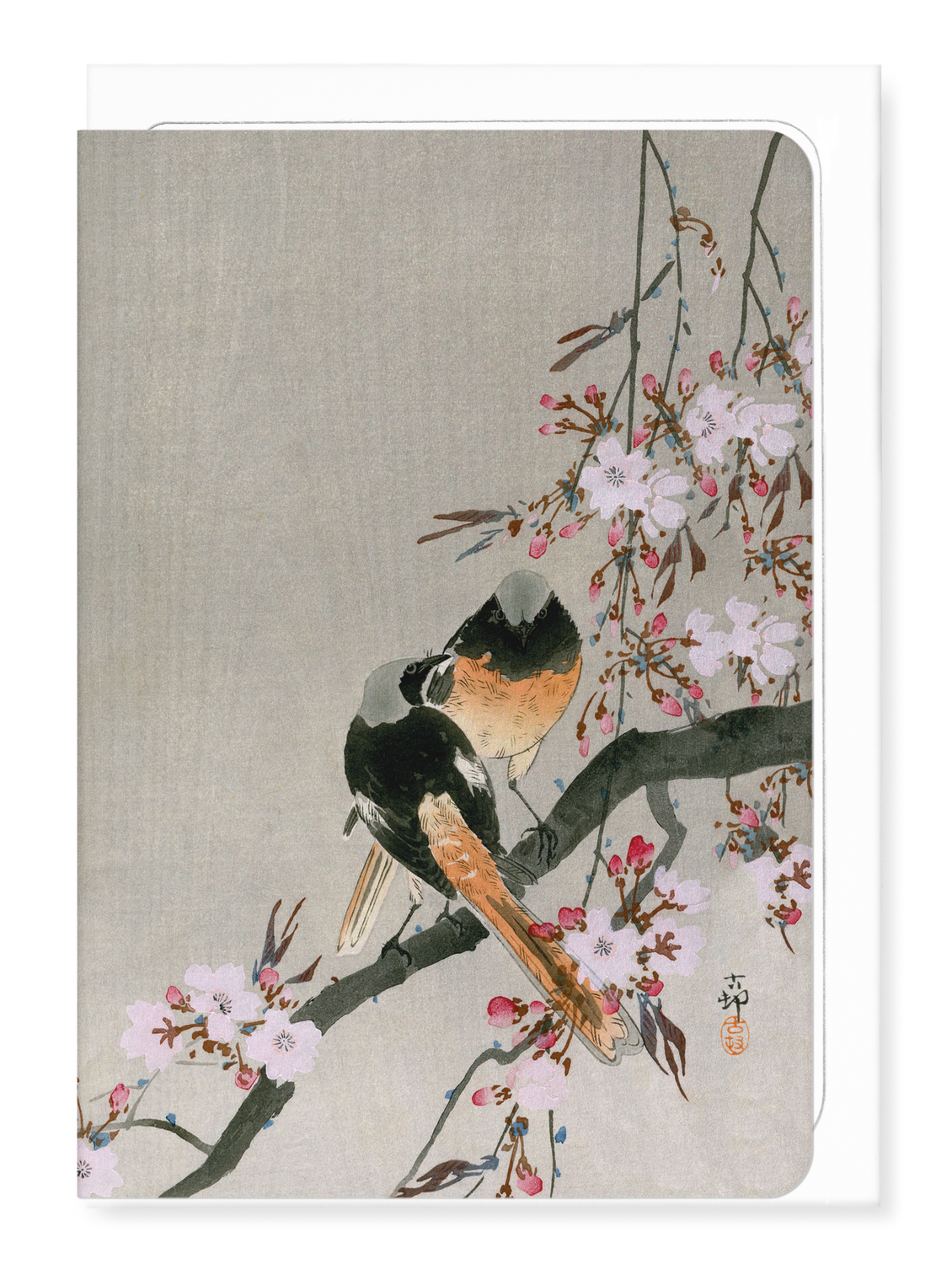 Ezen - Redstarts and cherry - Greeting Card - Front