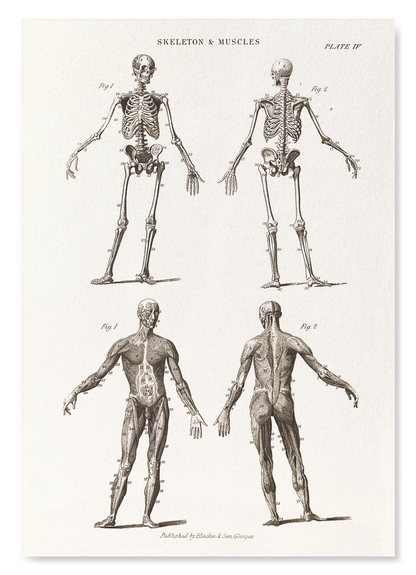 The print