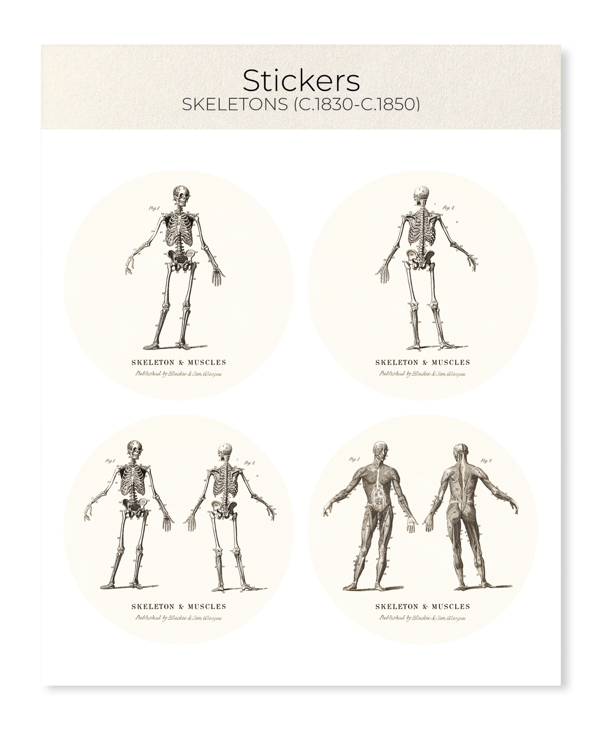 Ezen - Skeletons (C.1830-C.1850) - Sticker Set