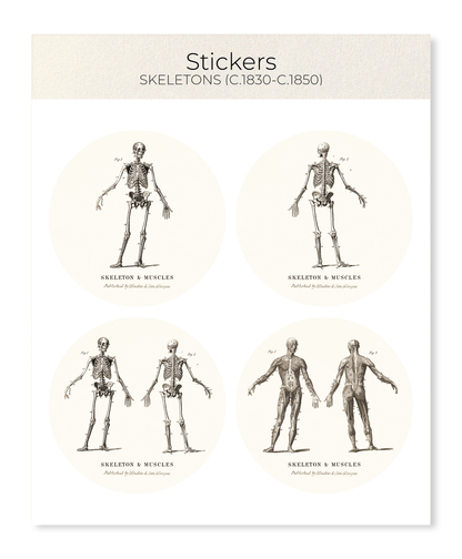 Ezen - Skeletons (C.1830-C.1850) - Sticker Set