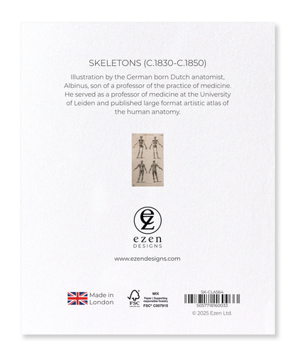 Ezen - Skeletons (C.1830-C.1850) - Sticker Set
