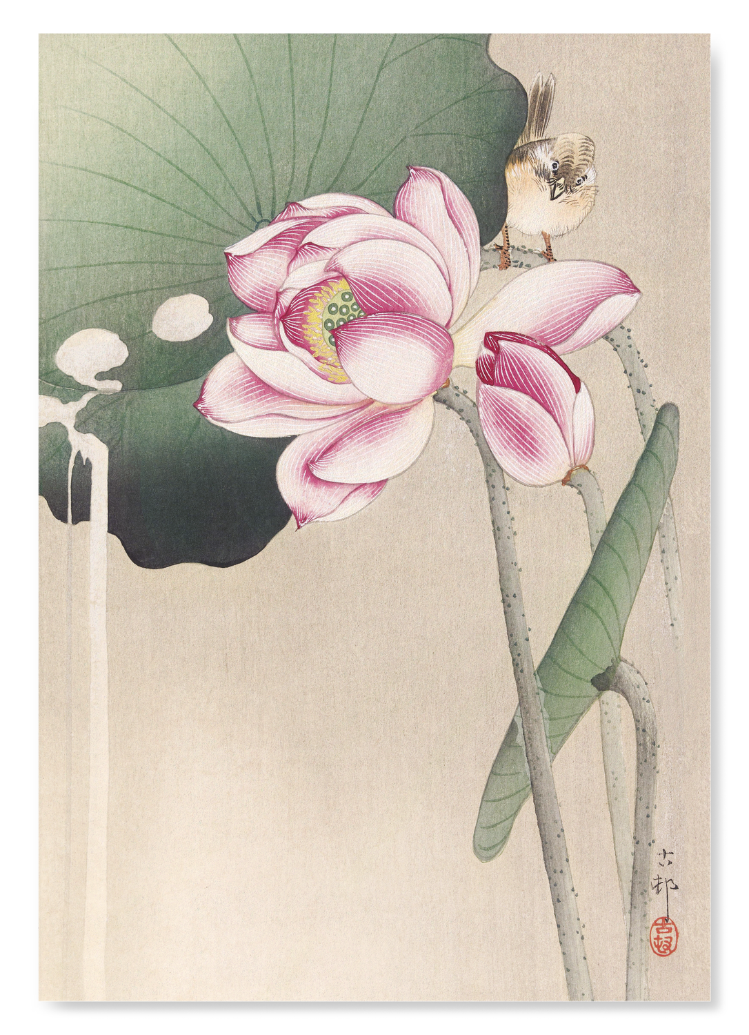 The print